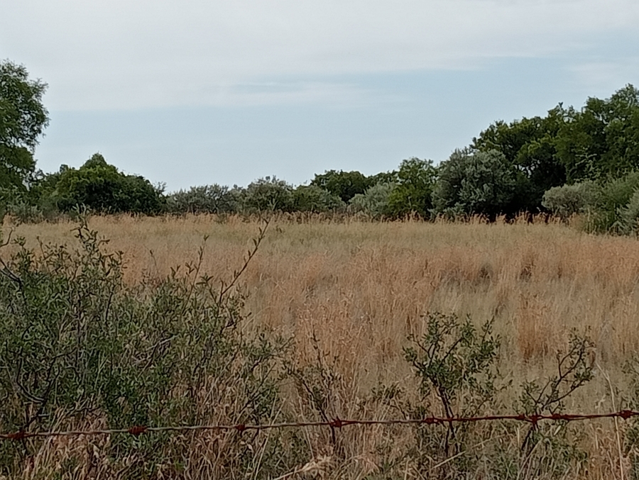 Commercial Property for Sale in Reivilo Rural North West